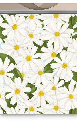 Summer Daisies