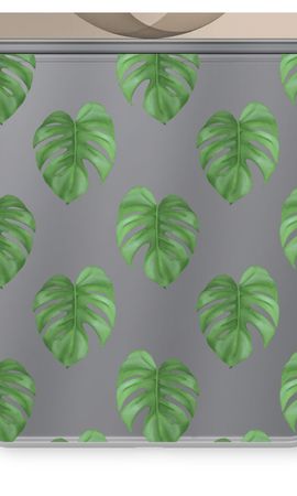 Monstera leaves
