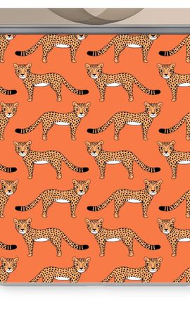 Cheetah