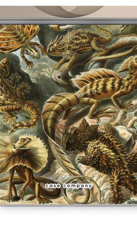 Haeckel Lacertilia