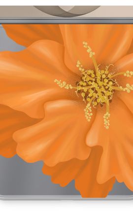 Orange Ellila flower