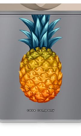 Big pineapple