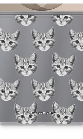 Kitten