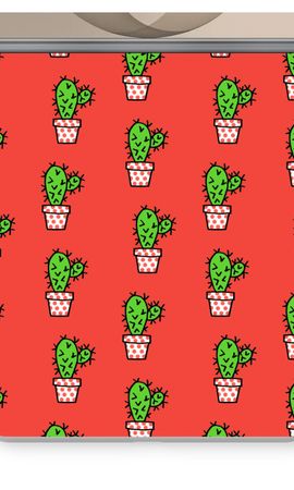 Mini cactus