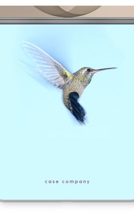 Hummingbird