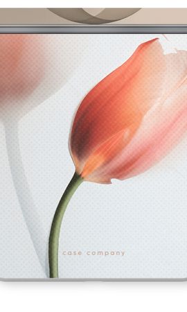 Tulip