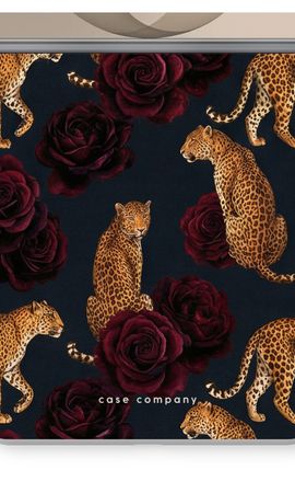 Midnight Safari