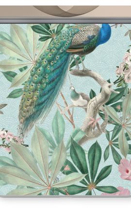 Paradise Garden Peacock