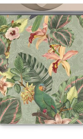 Tropical jungle parrot