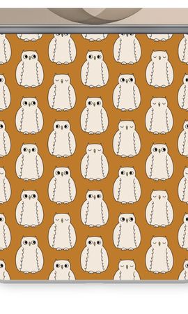 Owls