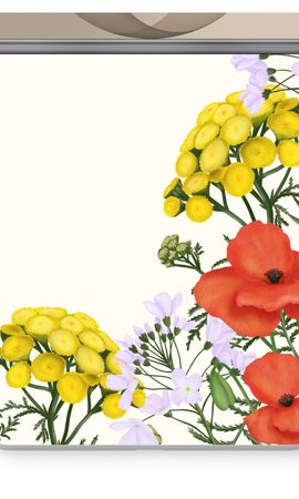 Fiori selvatici