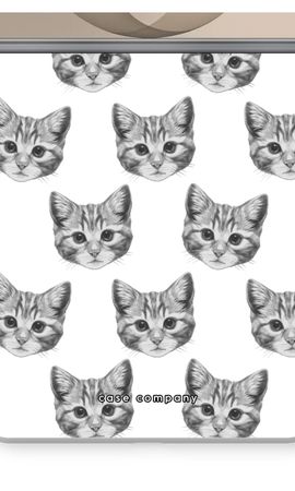 Kitten