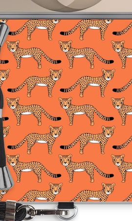 Cheetah