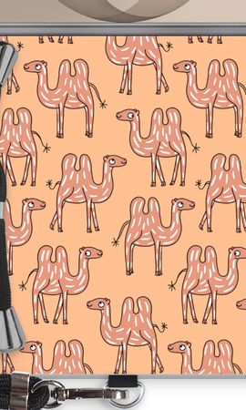 Camel