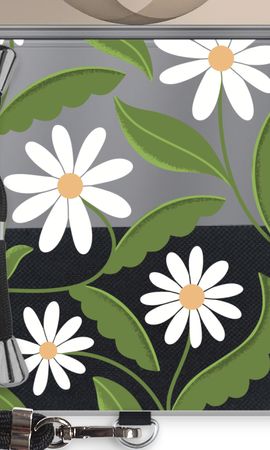Daisies All Over