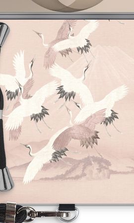 Japanese Crane Birds