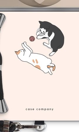 Playing cats