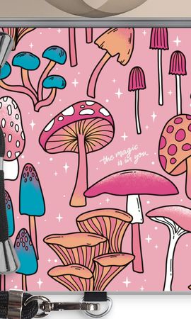 Magic Mushrooms