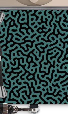 Turing pattern