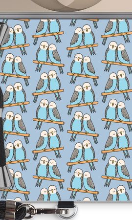 Parrots