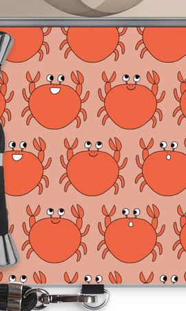 Crab