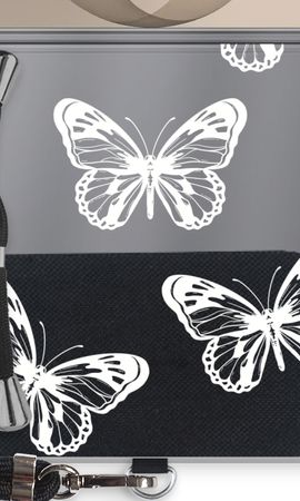 White butterfly