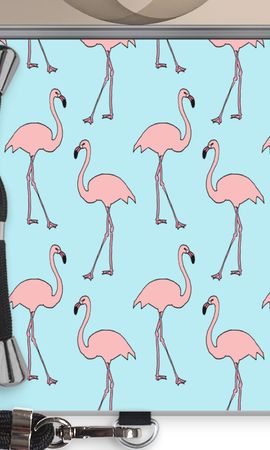 Anything Flamingoes