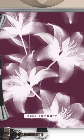 Midnight Bloom