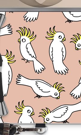 Parrot