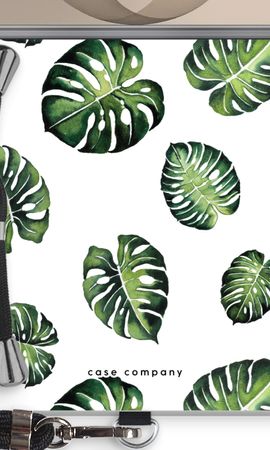 Tropical leaves