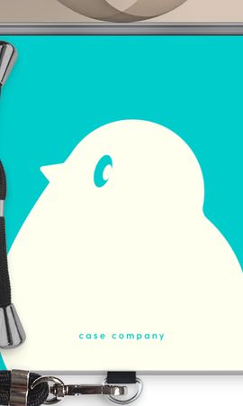 BIG Robin 2