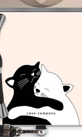Cuddly cats