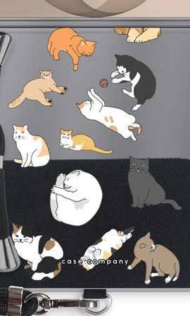 Cats