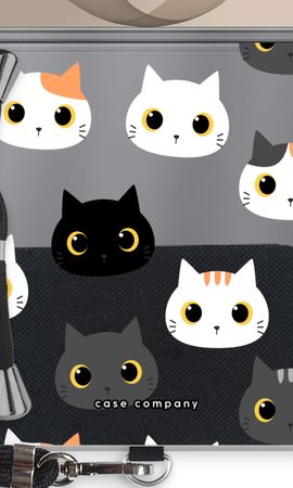 Cats