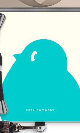 BIG Robin 1