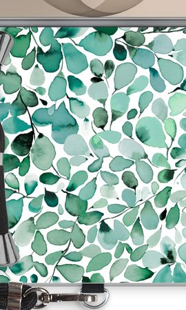 Leafy Eucalyptus