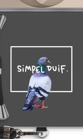 Simpel duif