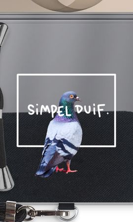 Simpel duif