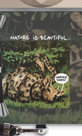 Nature is beautiful