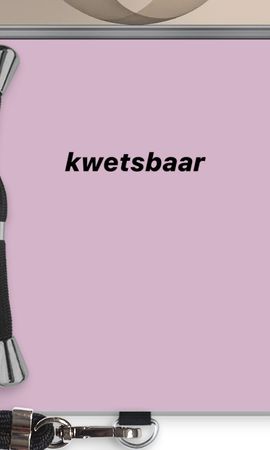 kwetsbaar
