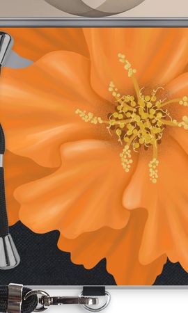 Orange Ellila flower