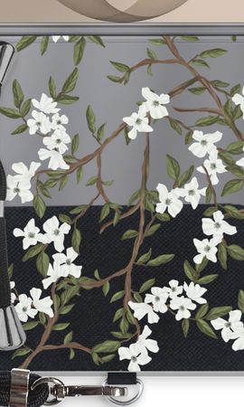 Blossoming spring