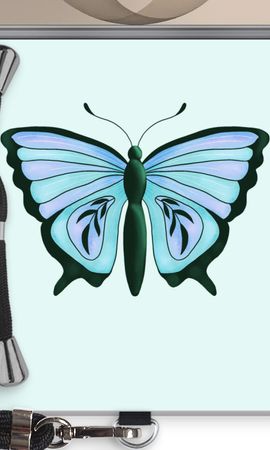 Blue Butterfly