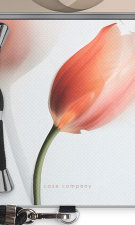 Tulip
