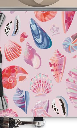 Cute Shells