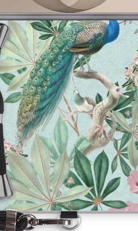 Paradise Garden Peacock
