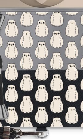 Owls