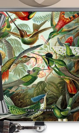 Haeckel Trochilidae
