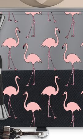 Anything Flamingoes