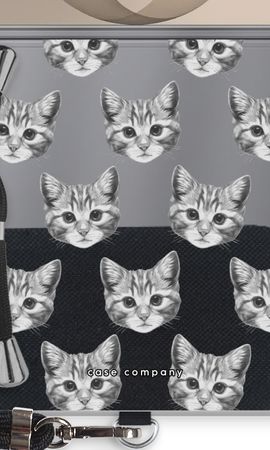 Kitten